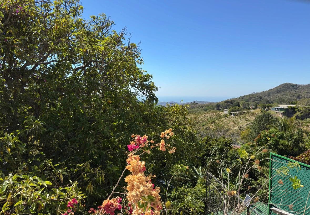 Peaceful surroundings